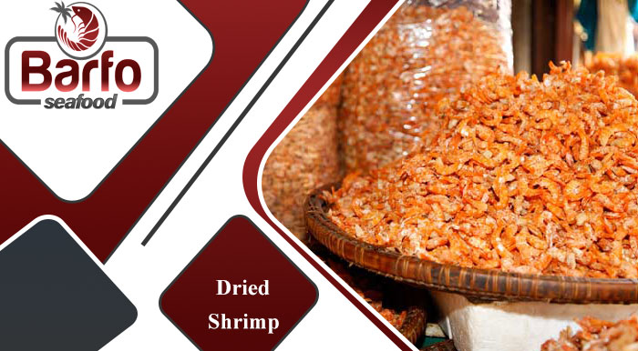 Best Dried Shrimp Organic trader