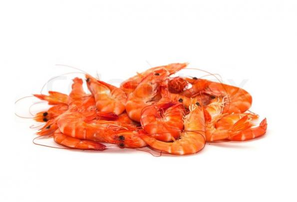 Supreme Dried Shrimp suppliers in bulk