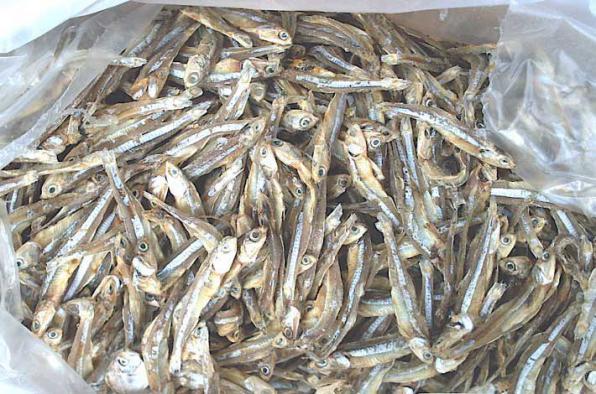 Latest prices of dried anchovy