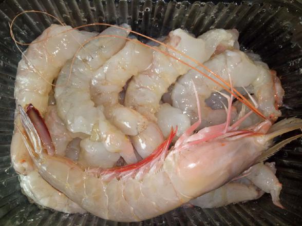 High quality Organic dried Jinga shrimp for Sale