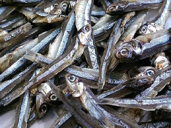 Market Price of dried anchovy