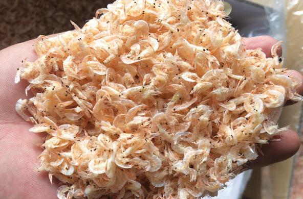 Best Quality dried Jinga shrimp Wholesalers