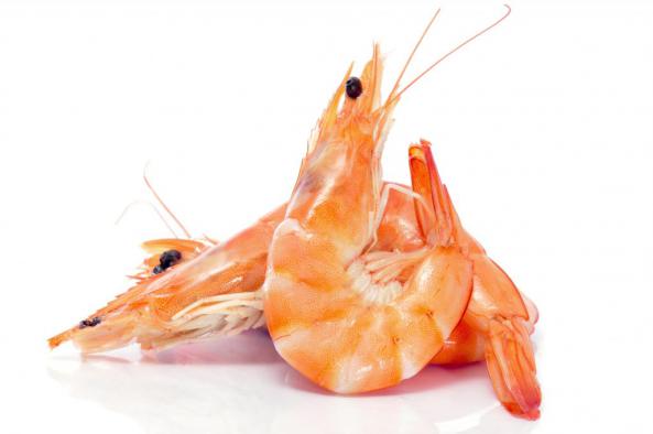 Large Tiger Prawn Shrimp Size for Export and Wholesales