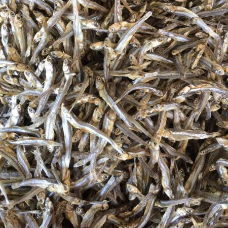 dried anchovy Distributors Suppliers