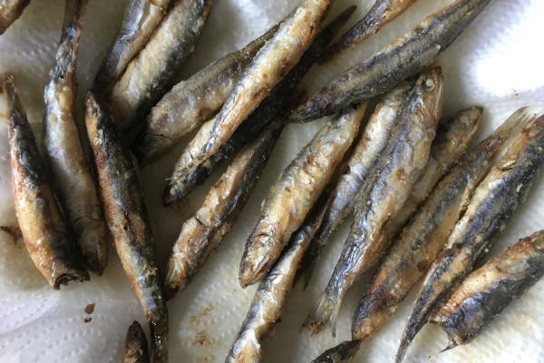 Dried anchovy Importers and Distributors