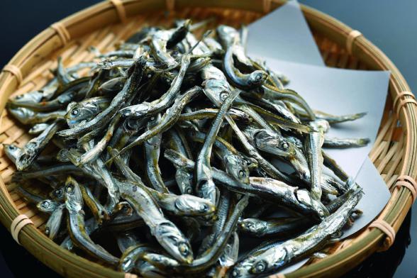High quality dried anchovy Import