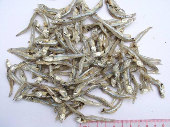 How much does dried anchovy cost?