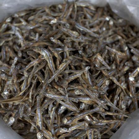 Buy Organic dried anchovy