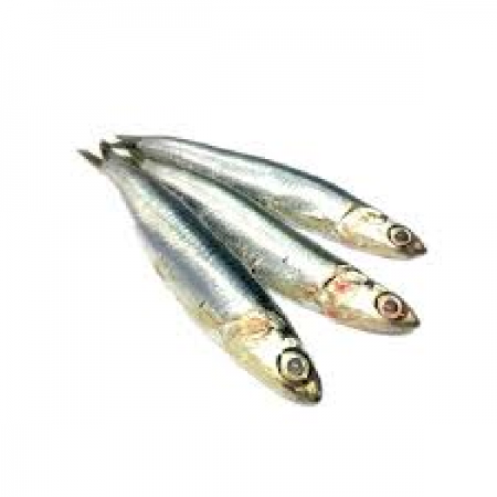 where to sell dried anchovy in bulk?
