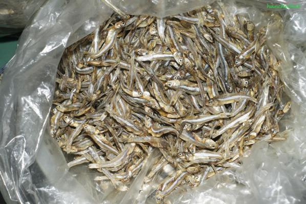 Latest dried anchovy Price in 2021