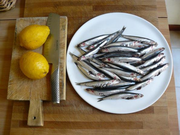 dried anchovy Benefits and Uses