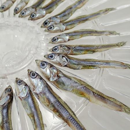 dried anchovy Price in Global Market For Traders