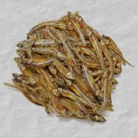 Buy Fresh dried anchovy Best Suppliers