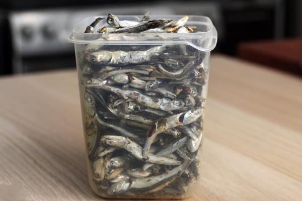 Trade of natural dried anchovy