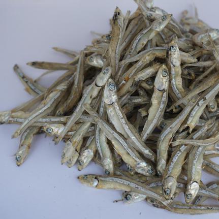 Buy Wholesale dried anchovy at Bulk Prices
