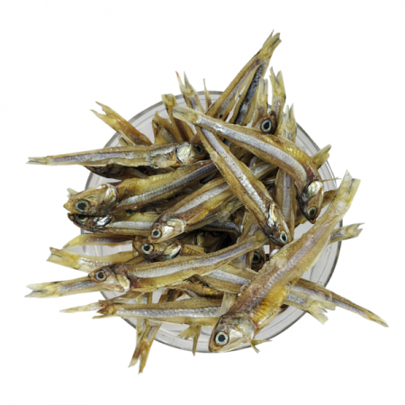 Buy dried anchovy in Bulk at Best Price