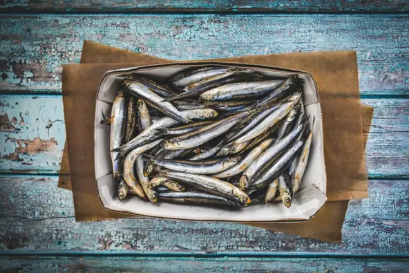 Best Price of dried anchovy