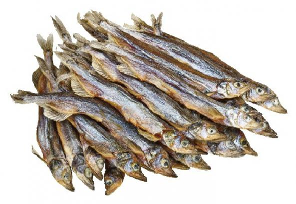 dried anchovy Wholesalers Price