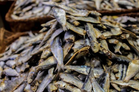 cheapest dried anchovy in the world