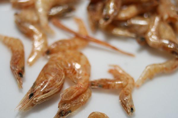 what are dried Jinga shrimp Nutritional Benefits?
